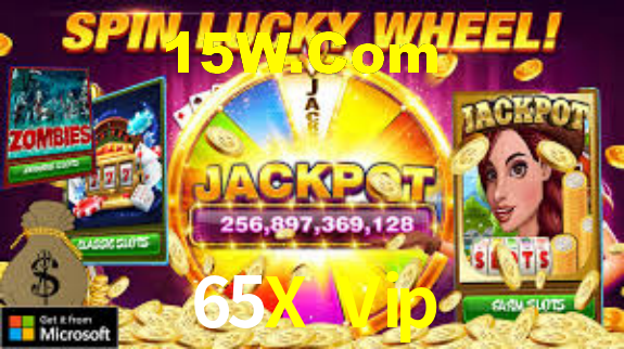 65X Vip App Interface
