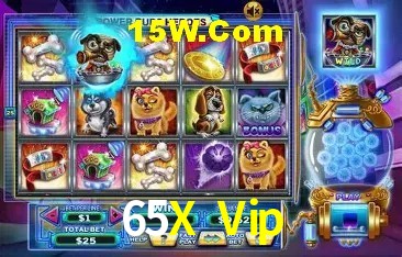 65X Vip,65X Bet