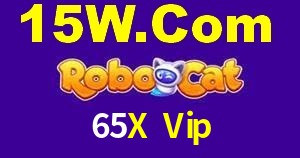 Secure Login 65X Vip
